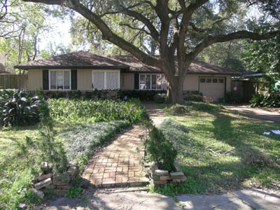3231elm2-5881.jpg