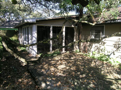 3231elm4-5884.jpg